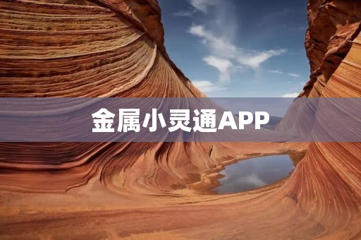 金属小灵通APP：实现通信新时代的便捷应用