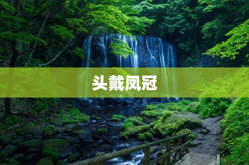 头戴凤冠:传承中华文化的华丽之冠