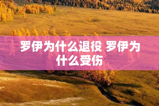 罗伊为什么退役 罗伊为什么受伤