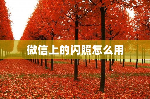 微信上的闪照怎么用