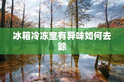 冰箱冷冻室有异味如何去除