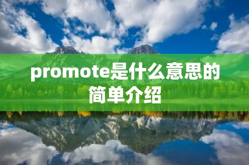 promote是什么意思的简单介绍