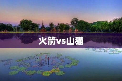 火箭vs山猫:一场激烈的NBA对决 火箭vs山猫:一场激烈的NBA对决