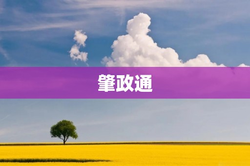 肇政通:连接城市与人心的智慧交通管理系统 肇政通:连接城市与人心的智慧交通管理系统