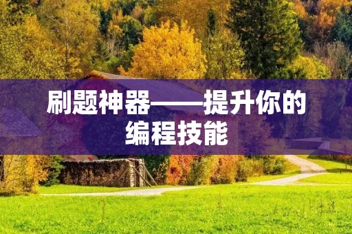 刷题神器——提升你的编程技能