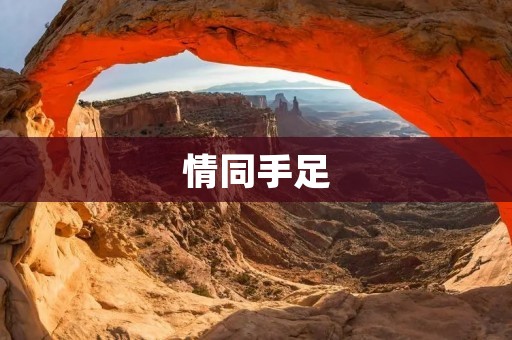 情同手足:探寻真正的友谊之道