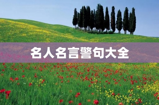 名人名言警句大全：引发思考的智慧之光