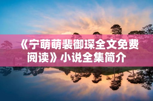 《宁萌萌裴御琛全文免费阅读》小说全集简介