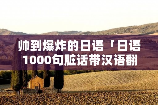 帅到爆炸的日语「日语1000句脏话带汉语翻译」