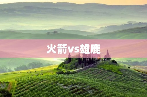 火箭vs雄鹿：一场豪门对决的较量