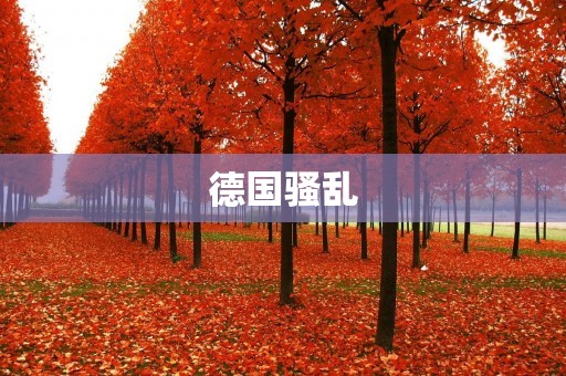 德国骚乱:社会动荡下的挑战与反思