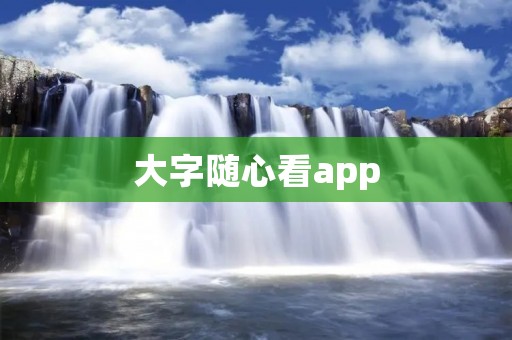 大字随心看app：为你带来极致阅读体验