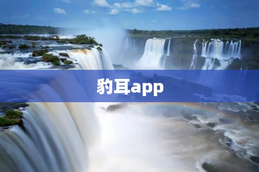豹耳app:提升生活品质的智能个人助手 豹耳app:提升生活品质的智能个人助手