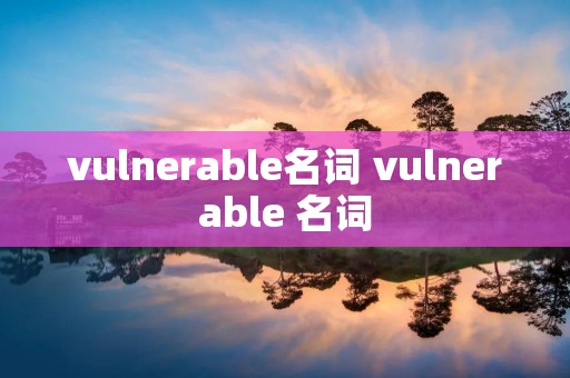 vulnerable名词 vulnerable 名词