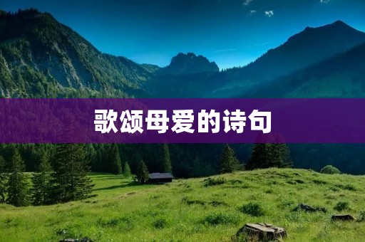 歌颂母爱的诗句：用诗歌赞美母亲的伟大爱心