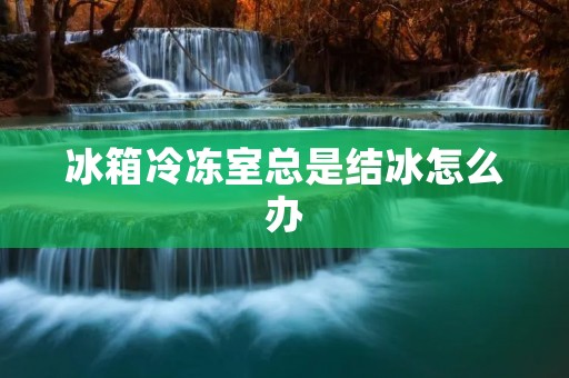 冰箱冷冻室总是结冰怎么办