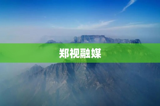 郑视融媒：创新媒体平台引领多元传媒时代