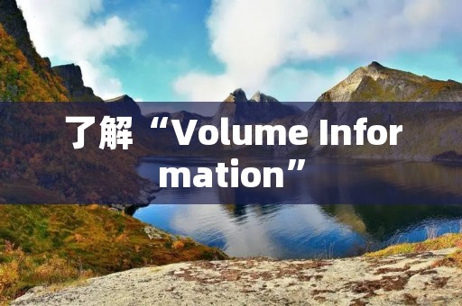 了解“Volume Information”:数据存储和管理的关键
