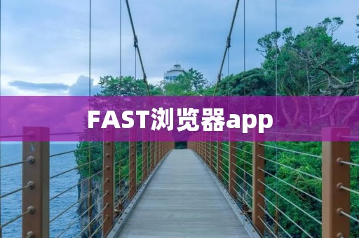 FAST浏览器app：快速、便捷的上网利器
