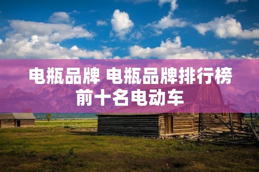 电瓶品牌 电瓶品牌排行榜前十名电动车