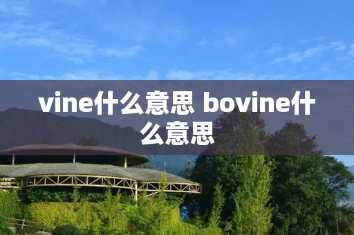 vine什么意思 bovine什么意思