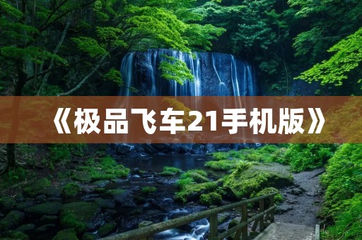 《极品飞车21手机版》:手机上的极速飞行体验