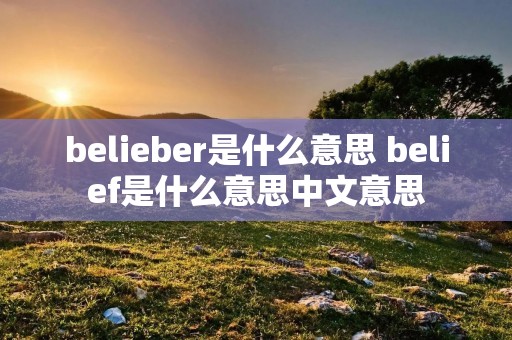 belieber是什么意思 belief是什么意思中文意思 belieber是什么意思 belief是什么意思中文意思