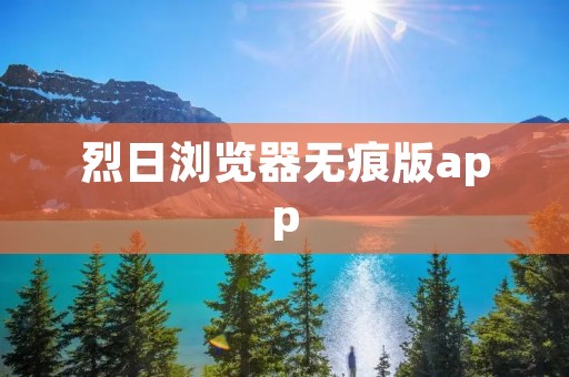 烈日浏览器无痕版app:隐私保护与高速浏览的完美结合 烈日浏览器无痕版app:隐私保护与高速浏览的完美结合