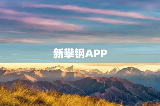 新攀钢APP：钢铁行业的数字化革命