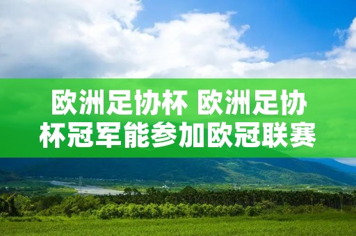 欧洲足协杯 欧洲足协杯冠军能参加欧冠联赛 欧洲足协杯 欧洲足协杯冠军能参加欧冠联赛