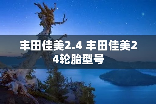 丰田佳美2.4 丰田佳美24轮胎型号 丰田佳美2.4 丰田佳美24轮胎型号
