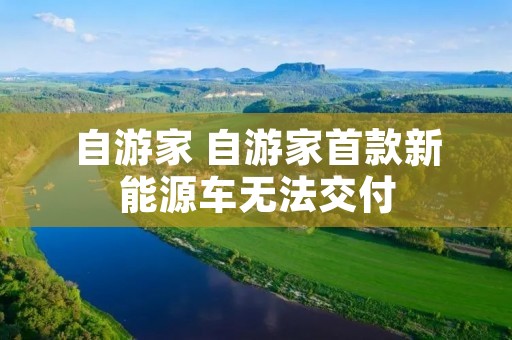 自游家 自游家首款新能源车无法交付 自游家 自游家首款新能源车无法交付