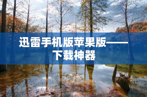 迅雷手机版苹果版——下载神器