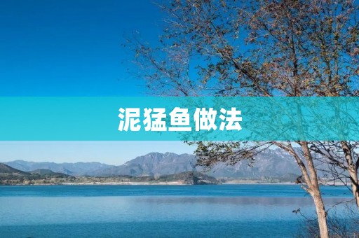 泥猛鱼做法：美味佳肴的制作秘籍