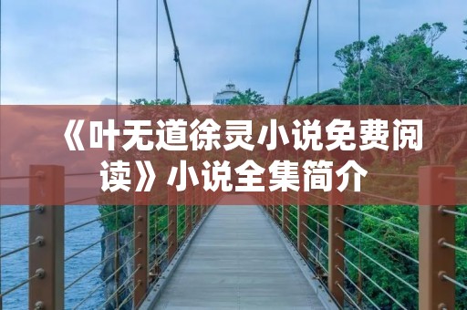《叶无道徐灵小说免费阅读》小说全集简介 《叶无道徐灵小说免费阅读》小说全集简介