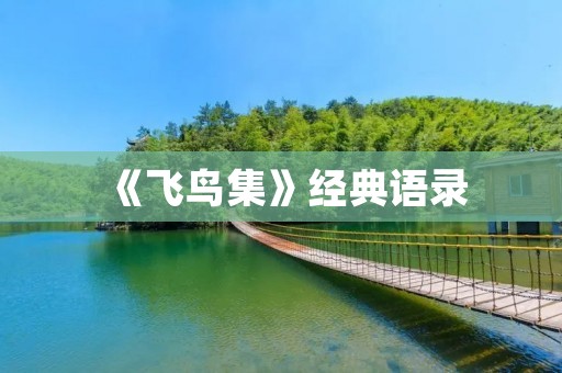 《飞鸟集》经典语录：感悟生命中的真谛