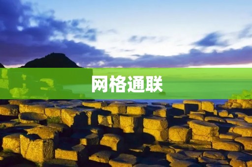 网格通联:构建智慧城市的信息交流纽带 网格通联:构建智慧城市的信息交流纽带