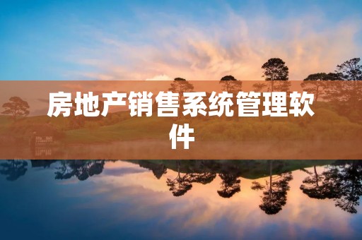房地产销售系统管理软件：提升企业运营效率的利器