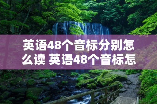 英语48个音标分别怎么读 英语48个音标怎么读写