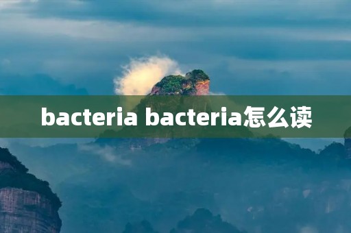 bacteria bacteria怎么读 bacteria bacteria怎么读