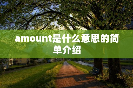 amount是什么意思的简单介绍
