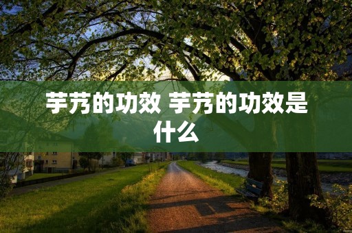 芋艿的功效 芋艿的功效是什么