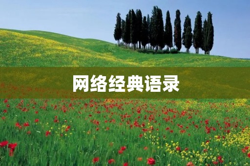 网络经典语录：探寻网络文化的精髓