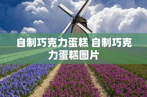 自制巧克力蛋糕 自制巧克力蛋糕图片 自制巧克力蛋糕 自制巧克力蛋糕图片