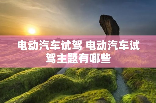电动汽车试驾 电动汽车试驾主题有哪些 电动汽车试驾 电动汽车试驾主题有哪些