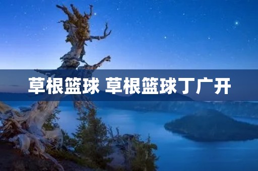 草根篮球 草根篮球丁广开