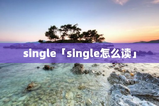 single「single怎么读」