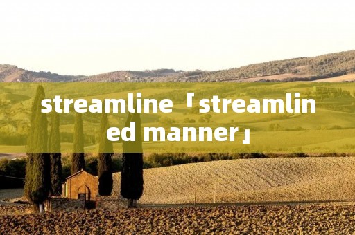 streamline「streamlined manner」