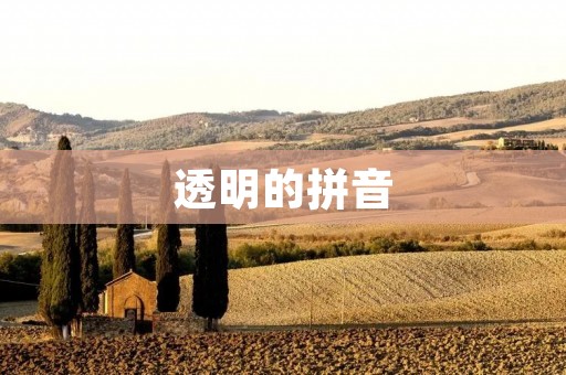 透明的拼音:揭开拼音学习的神秘面纱 透明的拼音:揭开拼音学习的神秘面纱