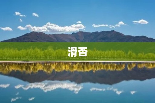 滑否:让你的滑板鞋焕发新生 滑否:让你的滑板鞋焕发新生